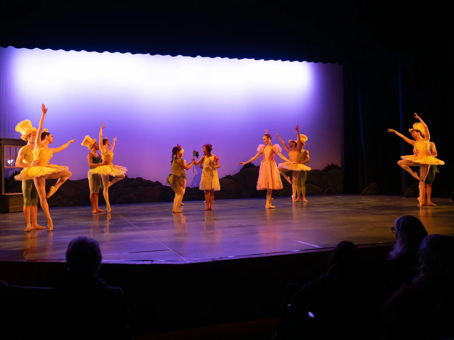 Ballet Jörgen: Anne of Green Gables &mdash; photograph by Brian Clarkson