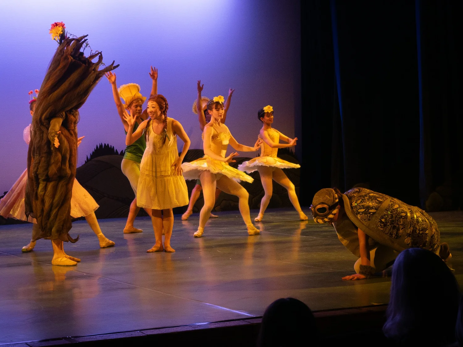 Ballet Jörgen: Anne of Green Gables &mdash; photograph by Brian Clarkson
