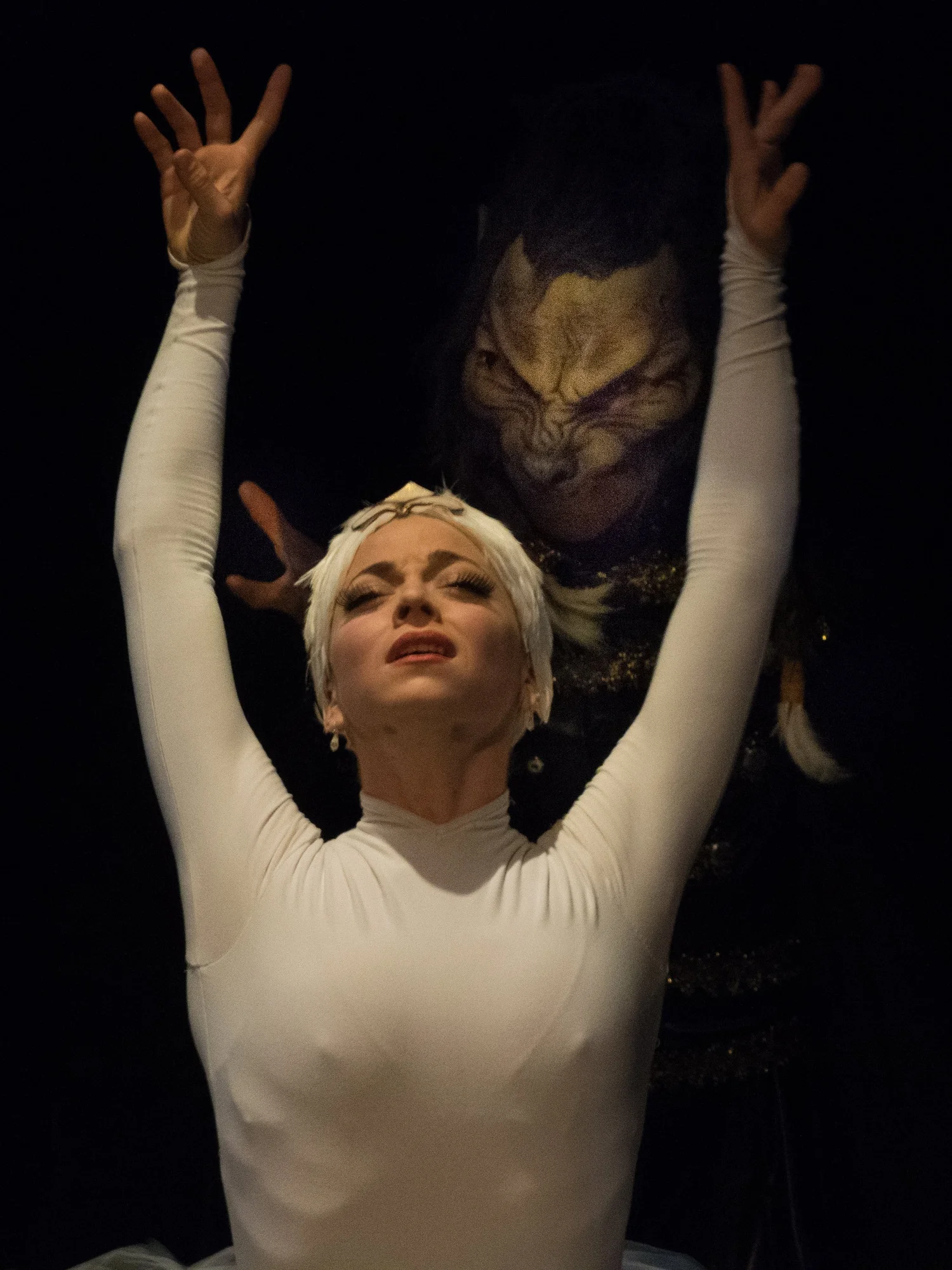 Ballet Jörgen: Swan Lake &mdash; photograph by Brian Clarkson