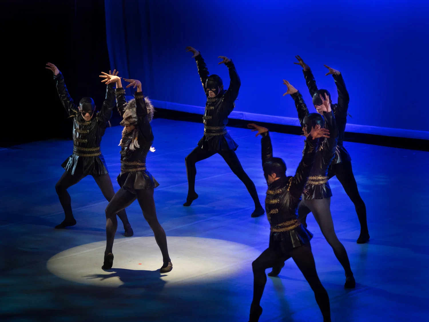 Ballet Jörgen: Swan Lake &mdash; photograph by Brian Clarkson