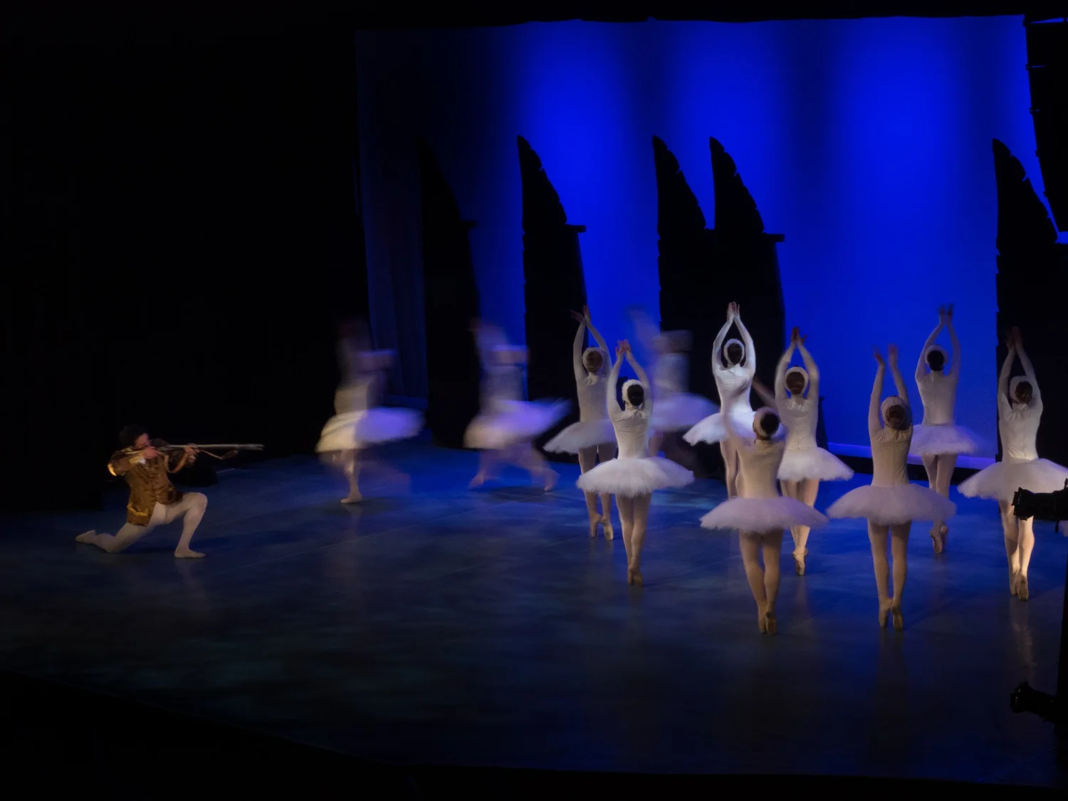Ballet Jörgen: Swan Lake &mdash; photograph by Brian Clarkson