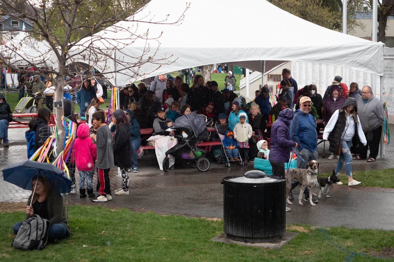 Kootenay Children's Festival &mdash; photograph by Brian Clarkson