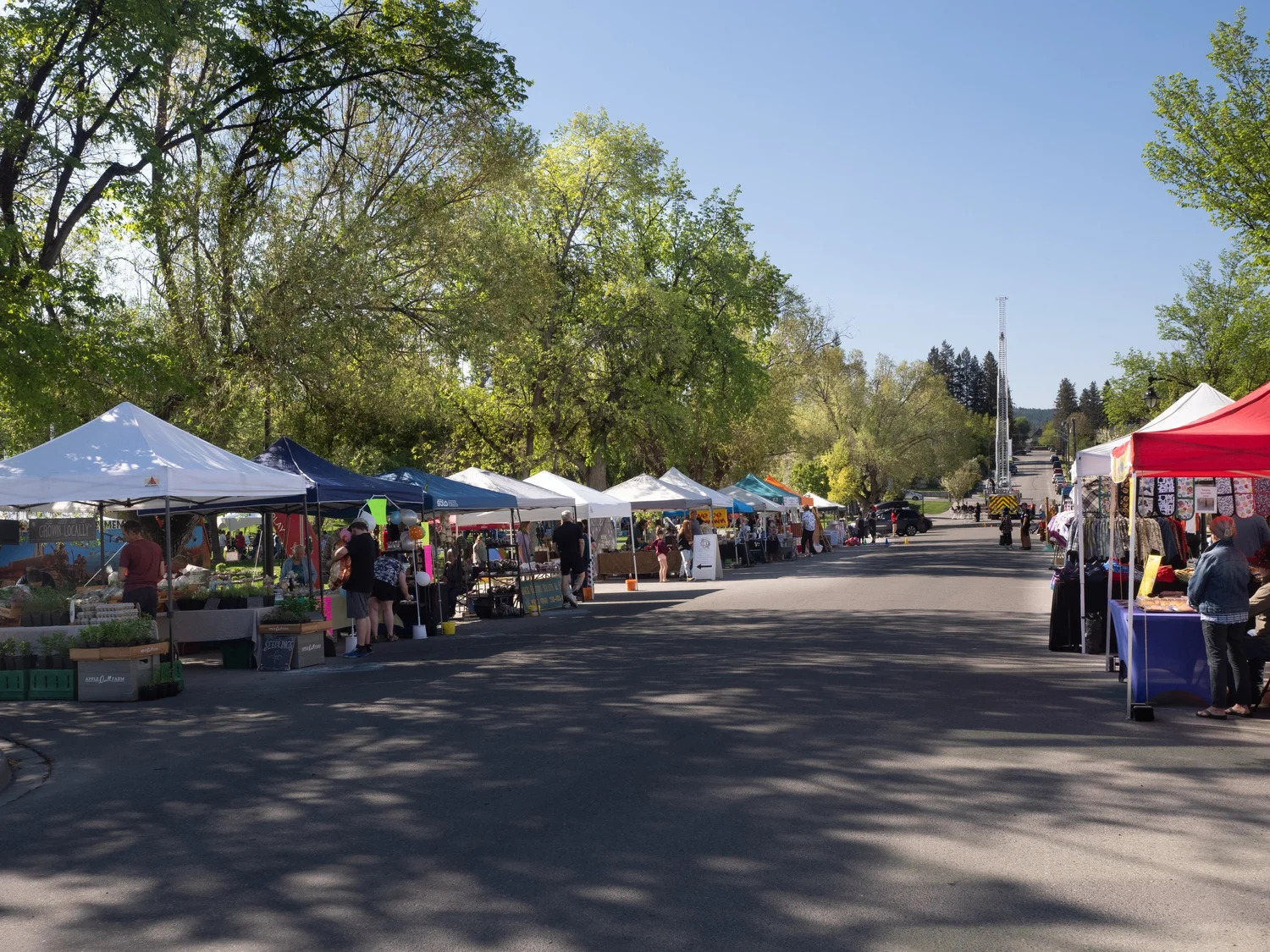 Kootenay Children's Festival 2023 &mdash; photograph by Brian Clarkson