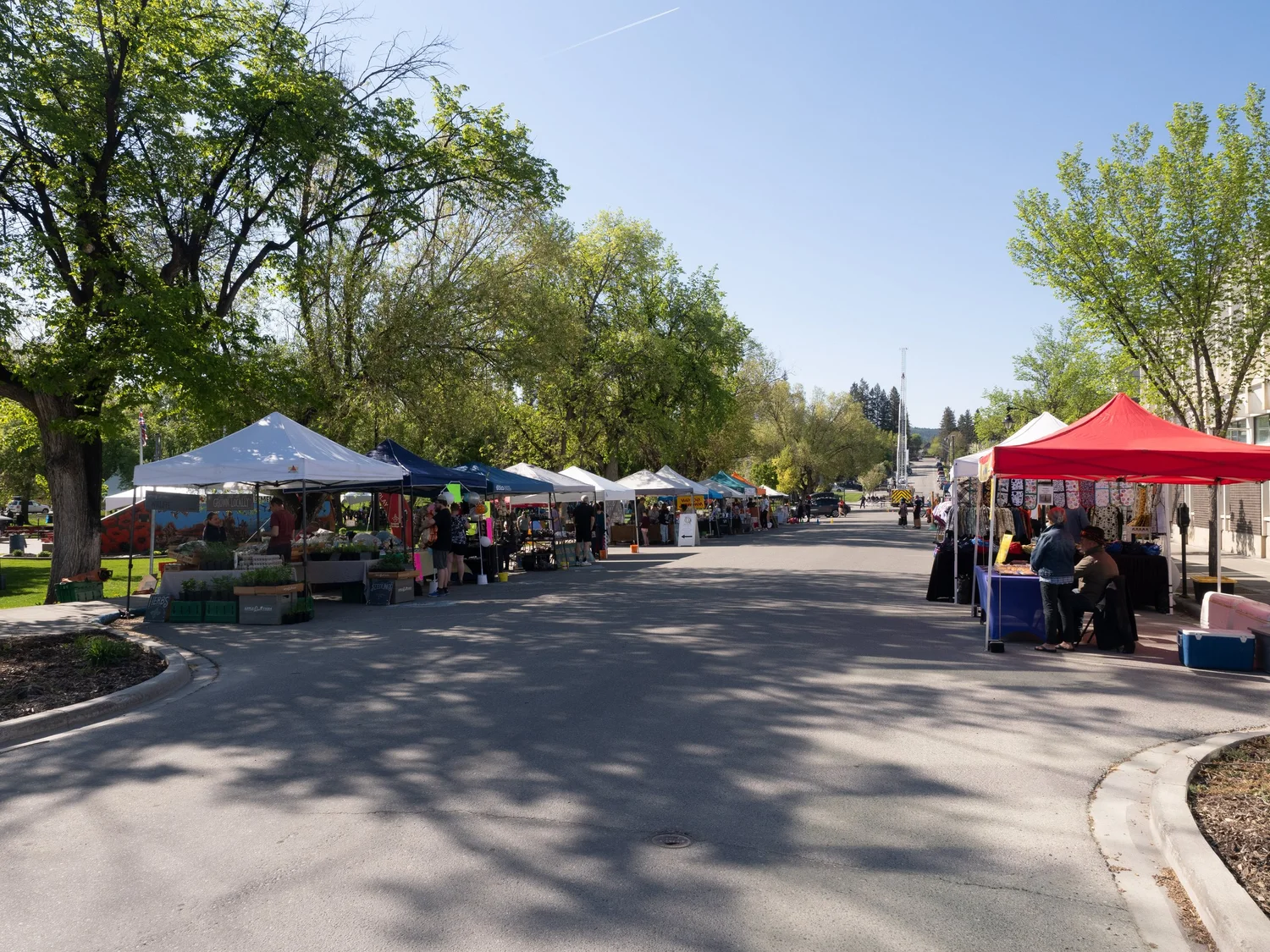 Kootenay Children's Festival 2023 &mdash; photograph by Brian Clarkson