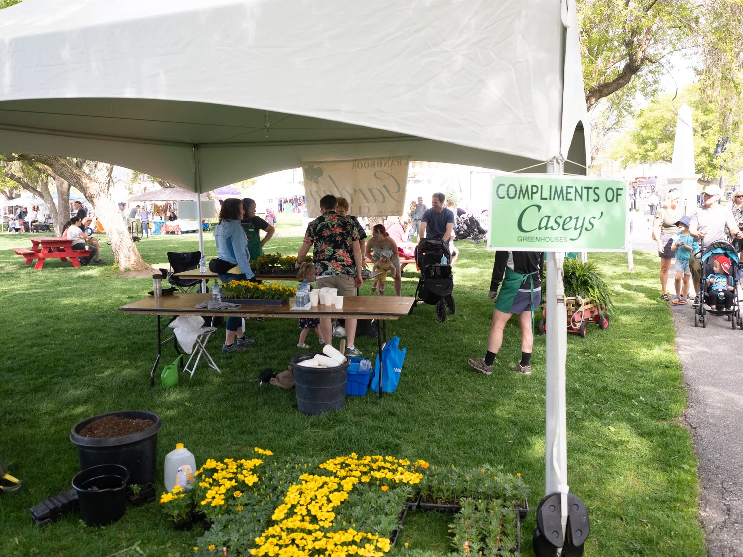 Kootenay Children's Festival 2024 &mdash; photograph by Brian Clarkson